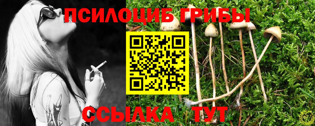Псилоцибиновые грибы Psilocybine cubensis  Псилоцибиновые грибы GOLDEN TEACHER  Вход с VPN  хочу наркоту  Воркута 